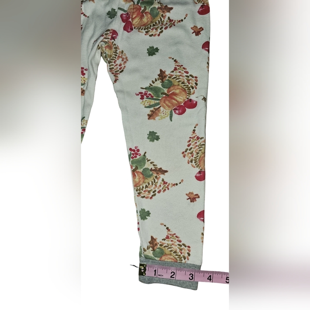 Burt’s Bees Kids Organic Cotton Pajama Set Thanksgiving Fall Pumpkin Harvest 4T - Picture 14 of 16